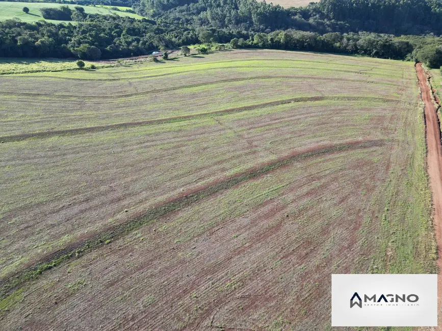 Foto 4 de Sítio / Rancho à venda, 242000m2 em Centro, Santa Tereza Do Oeste - PR