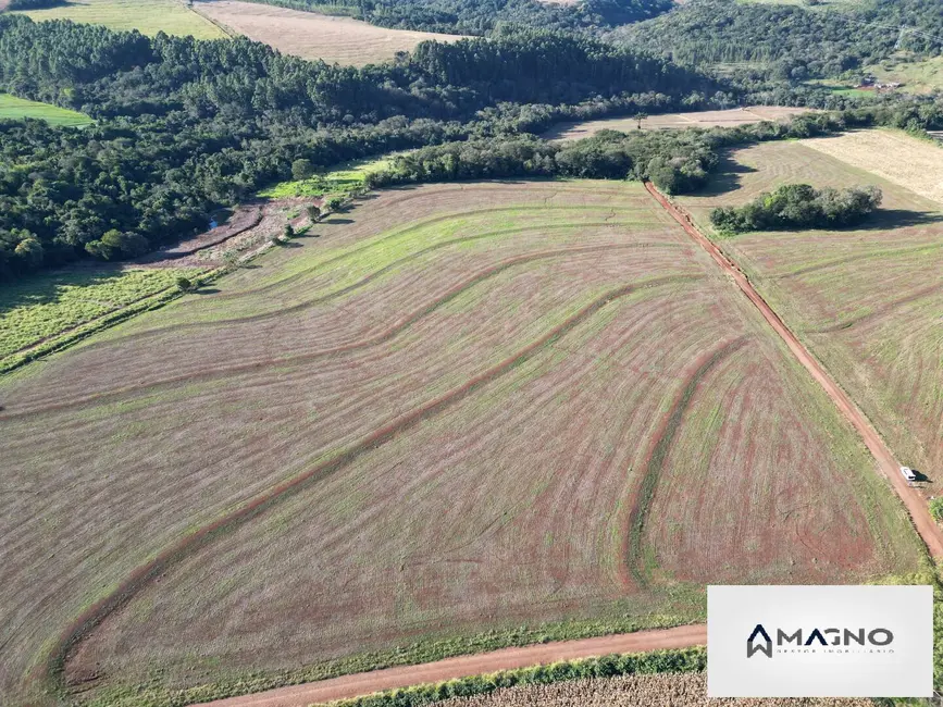 Foto 6 de Sítio / Rancho à venda, 242000m2 em Centro, Santa Tereza Do Oeste - PR