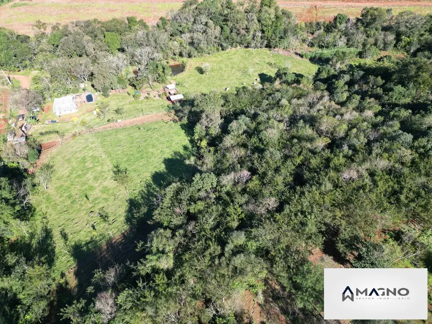 Foto 7 de Chácara com 2 quartos à venda, 36000m2 em Centro, Lindoeste - PR