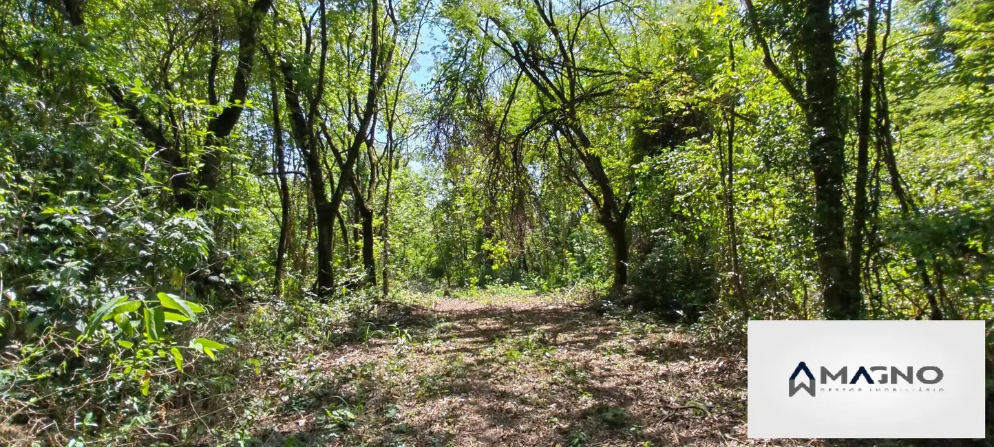 Foto 26 de Chácara à venda, 20992m2 em Coqueiral, Cascavel - PR