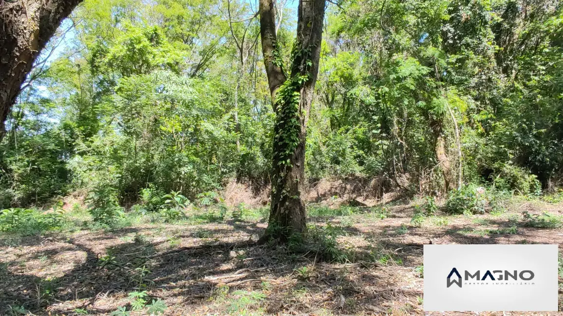 Foto 11 de Chácara à venda, 20992m2 em Coqueiral, Cascavel - PR