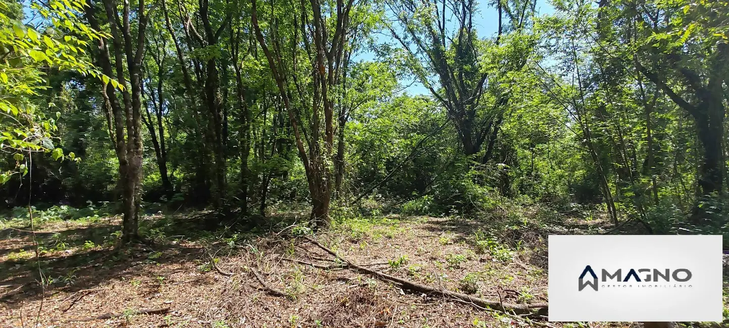 Foto 27 de Chácara à venda, 20992m2 em Coqueiral, Cascavel - PR