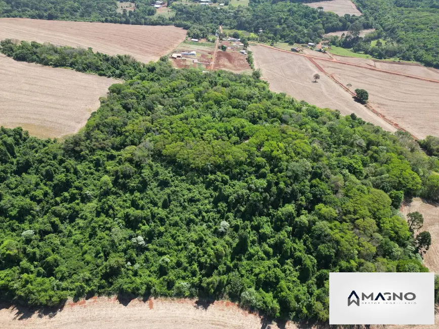 Foto 4 de Chácara à venda, 20992m2 em Coqueiral, Cascavel - PR