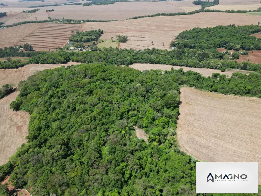 Foto 3 de Chácara à venda, 20992m2 em Coqueiral, Cascavel - PR
