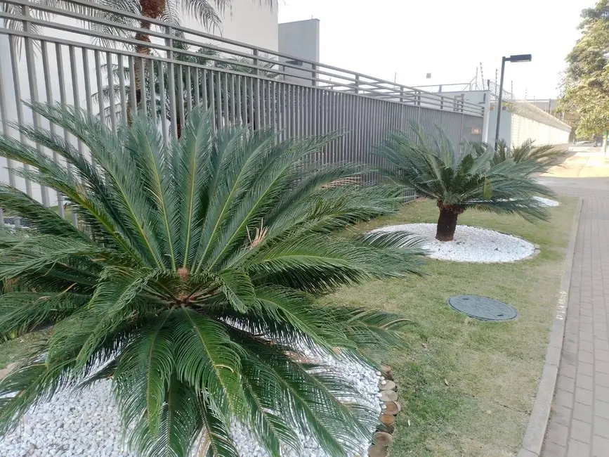 Apartamento com 1 quarto à venda, 26m2 em Santana, São Paulo - SP - imagem 8 Foto 8 de Apartamento com 1 quarto à venda, 26m2 em Santana, São Paulo - SP