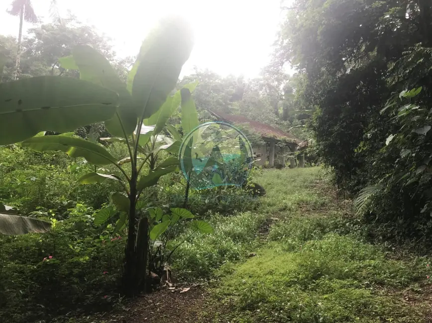 Foto 5 de Terreno / Lote à venda, 200m2 em Ubatuba - SP