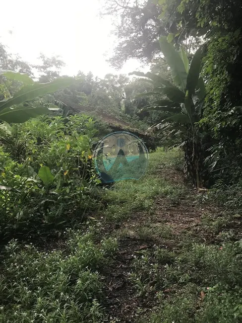 Foto 2 de Terreno / Lote à venda, 200m2 em Ubatuba - SP