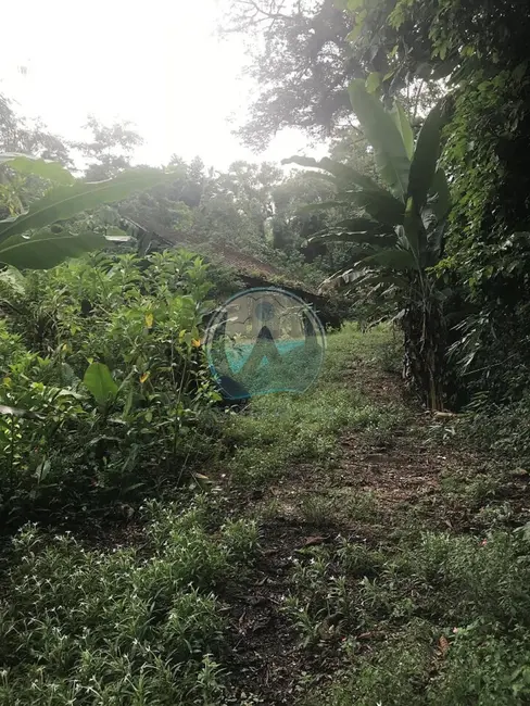 Foto 6 de Terreno / Lote à venda, 200m2 em Ubatuba - SP