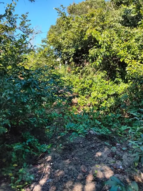 Foto 5 de Terreno / Lote à venda, 1100m2 em Cabo Frio - RJ