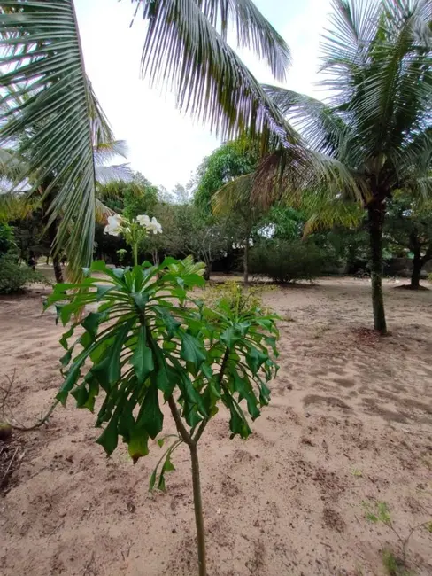 Foto 8 de Sítio / Rancho com 1 quarto à venda, 5000m2 em Cabo Frio - RJ