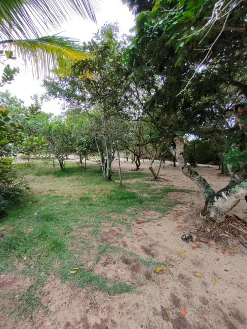 Foto 4 de Sítio / Rancho com 1 quarto à venda, 5000m2 em Cabo Frio - RJ