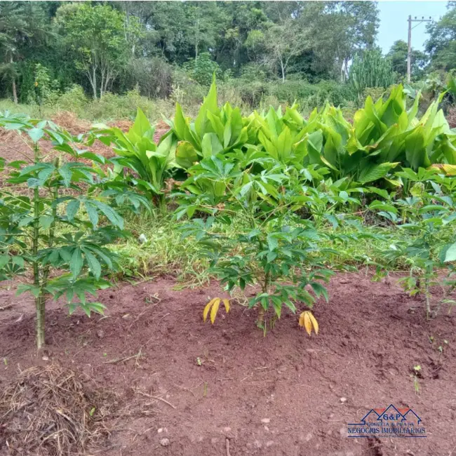 Chácara com 3 quartos à venda, 3240m2 em Mairinque - SP - imagem 7 Foto 7 de Chácara com 3 quartos à venda, 3240m2 em Mairinque - SP