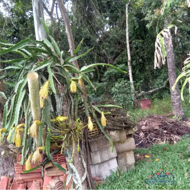 Chácara com 3 quartos à venda, 3240m2 em Mairinque - SP - imagem 6 Foto 6 de Chácara com 3 quartos à venda, 3240m2 em Mairinque - SP
