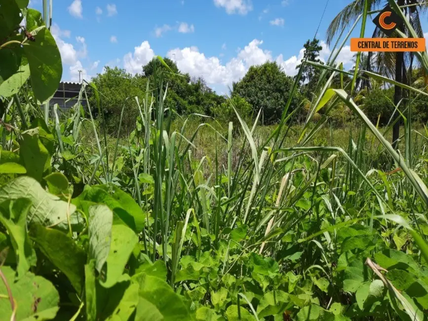 Terreno / Lote à venda, 8045m2 em Camacari - BA - imagem 3 Foto 3 de Terreno / Lote à venda, 8045m2 em Camacari - BA