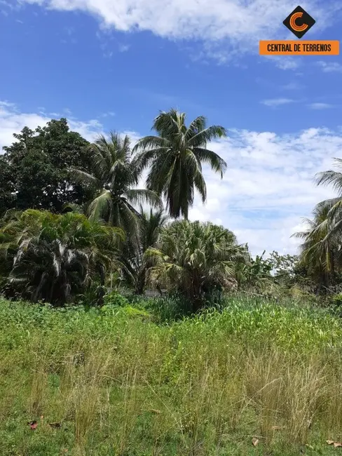 Terreno / Lote à venda, 1880m2 em Recreio Ipitanga, Lauro De Freitas - BA - imagem 8 Foto 8 de Terreno / Lote à venda, 1880m2 em Recreio Ipitanga, Lauro De Freitas - BA