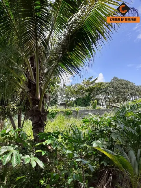 Terreno / Lote à venda, 1880m2 em Recreio Ipitanga, Lauro De Freitas - BA - imagem 6 Foto 6 de Terreno / Lote à venda, 1880m2 em Recreio Ipitanga, Lauro De Freitas - BA