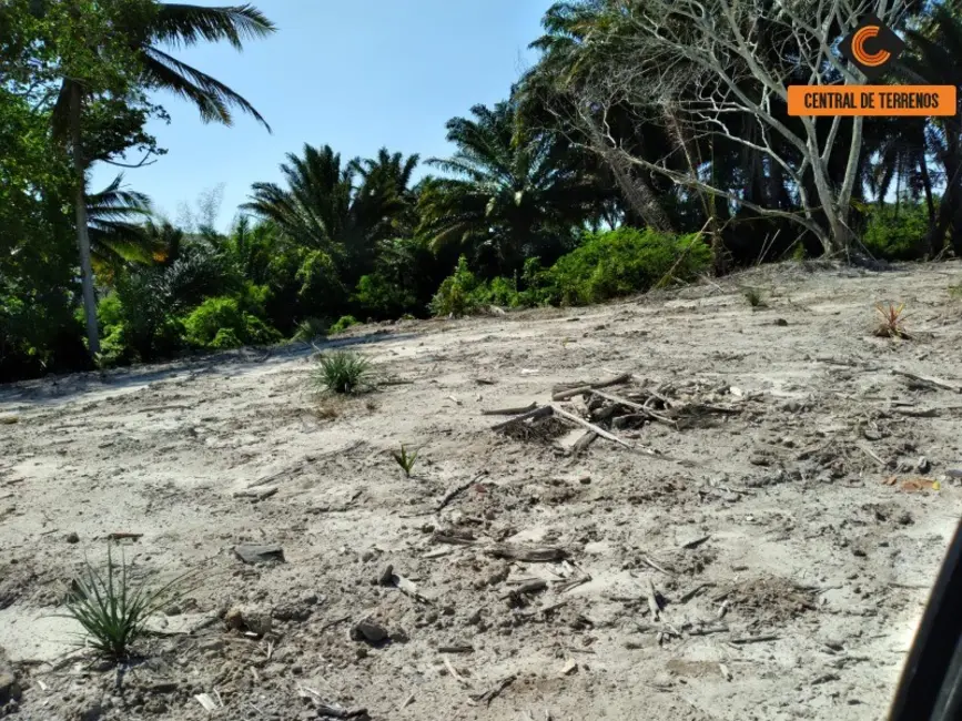 Terreno / Lote à venda e para alugar, 20000m2 em Caji, Lauro De Freitas - BA - imagem 9 Foto 9 de Terreno / Lote à venda e para alugar, 20000m2 em Caji, Lauro De Freitas - BA