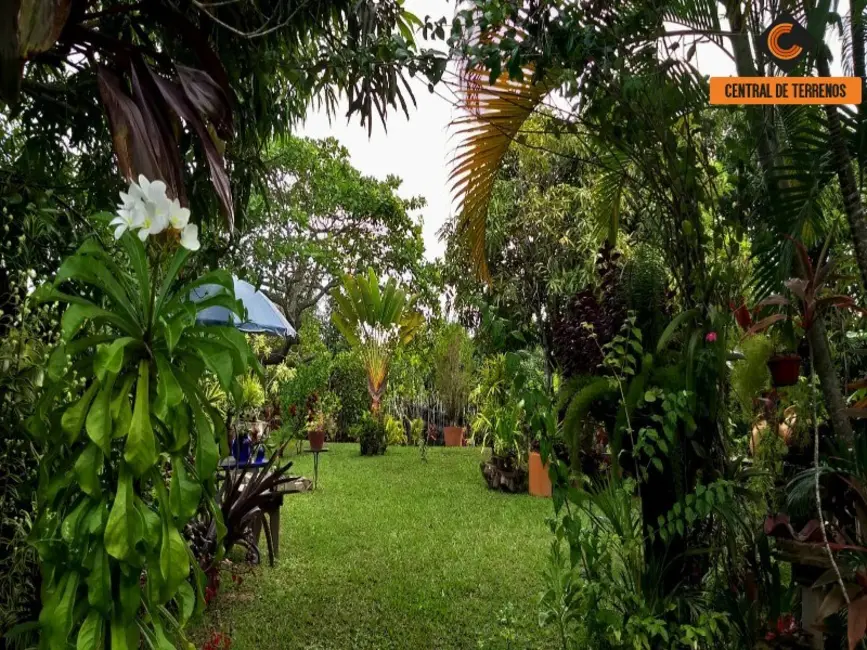 Foto 5 de Sítio / Rancho com 1 quarto à venda, 5712m2 em Camacari - BA