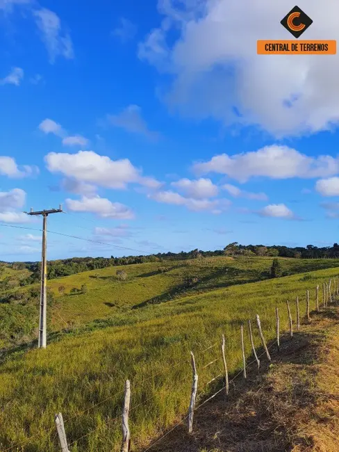 Foto 2 de Fazenda / Haras com 2 quartos à venda, 500000m2 em Itanagra - BA
