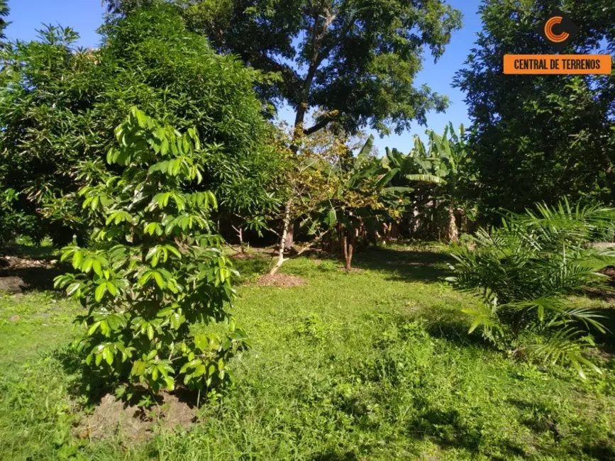 Foto 8 de Sítio / Rancho com 6 quartos à venda, 4278m2 em Camacari - BA