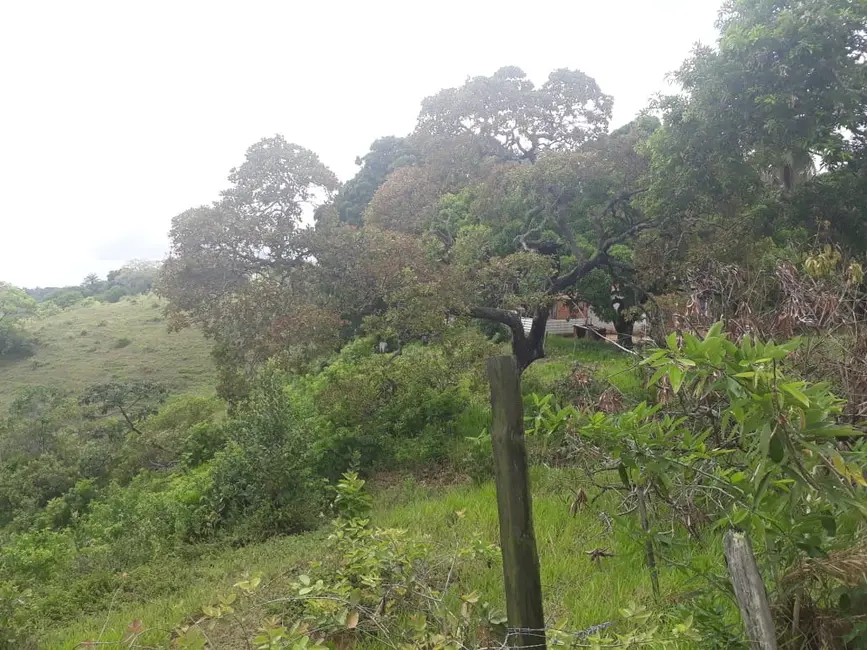 Terreno / Lote à venda, 221000m2 em Simoes Filho - BA - imagem 4 Foto 4 de Terreno / Lote à venda, 221000m2 em Simoes Filho - BA