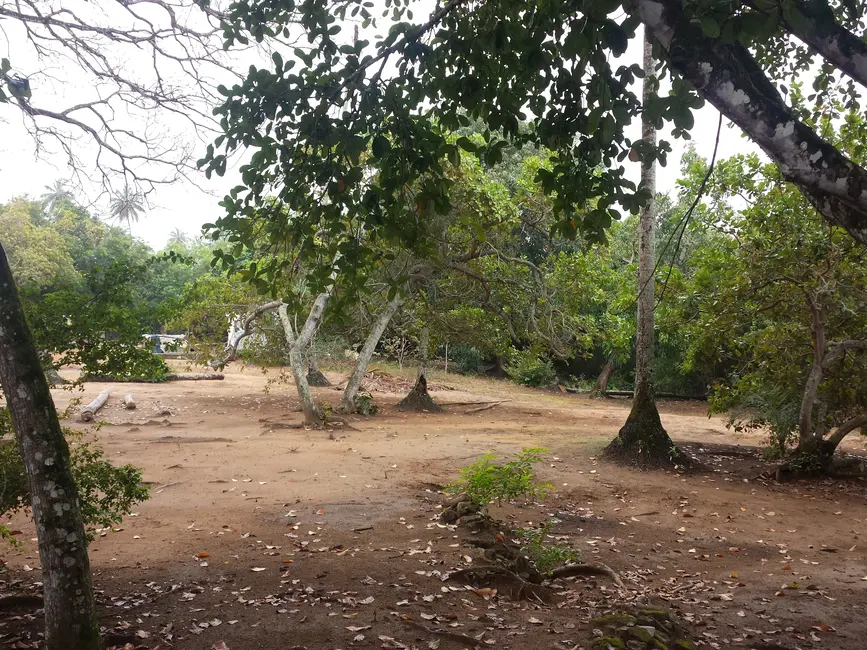 Terreno / Lote à venda, 100000m2 em Areia Branca, Lauro De Freitas - BA - imagem 5 Foto 5 de Terreno / Lote à venda, 100000m2 em Areia Branca, Lauro De Freitas - BA