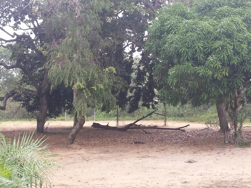 Terreno / Lote à venda, 100000m2 em Areia Branca, Lauro De Freitas - BA - imagem 6 Foto 6 de Terreno / Lote à venda, 100000m2 em Areia Branca, Lauro De Freitas - BA