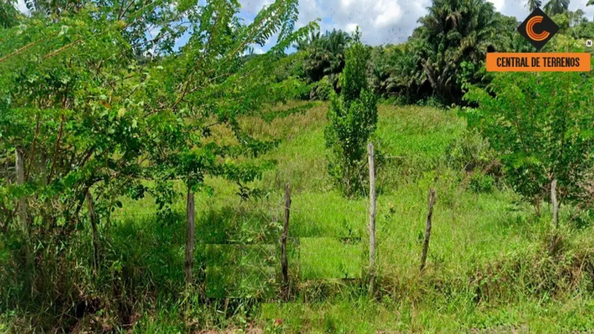 Terreno / Lote à venda, 175000m2 em Simoes Filho - BA - imagem 3 Foto 3 de Terreno / Lote à venda, 175000m2 em Simoes Filho - BA
