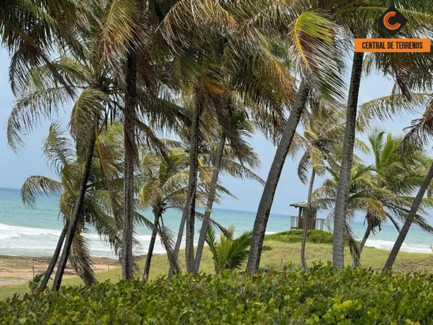 Terreno / Lote à venda, 900m2 em Entre Rios - BA - imagem 5 Foto 5 de Terreno / Lote à venda, 900m2 em Entre Rios - BA