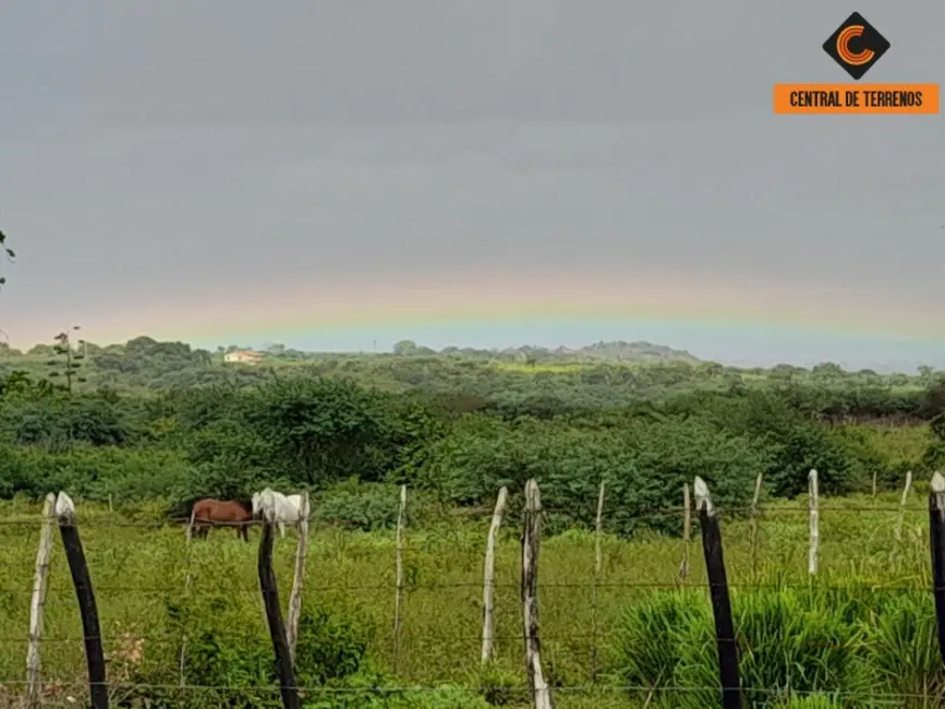 Foto 9 de Fazenda / Haras à venda em Nova Soure - BA