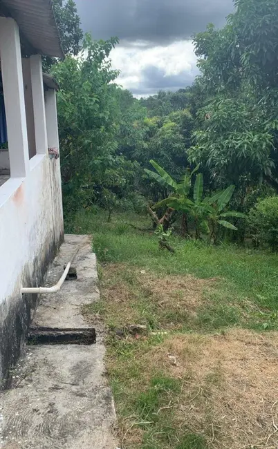 Chácara com 2 quartos à venda, 45m2 em Itariri - SP - imagem 7 Foto 7 de Chácara com 2 quartos à venda, 45m2 em Itariri - SP