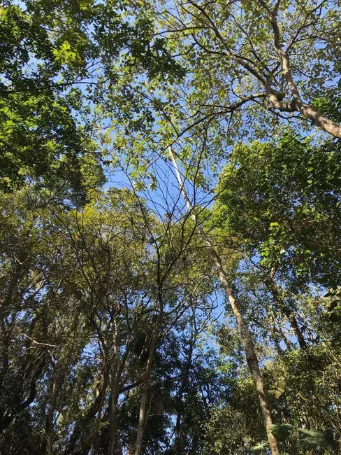 Foto 6 de Terreno / Lote à venda, 1170m2 em Rosário, Atibaia - SP