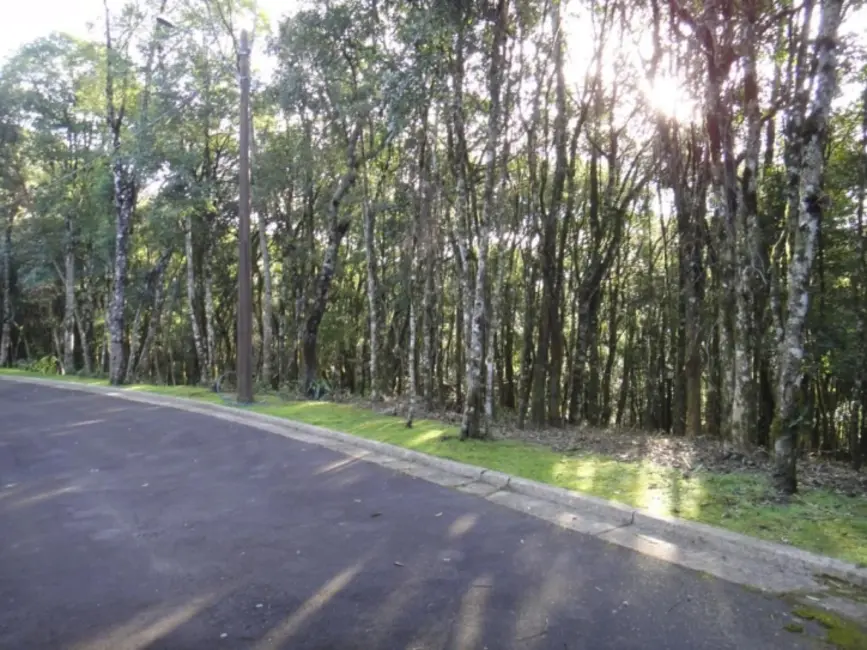 Foto 3 de Terreno / Lote à venda, 801m2 em Gramado - RS