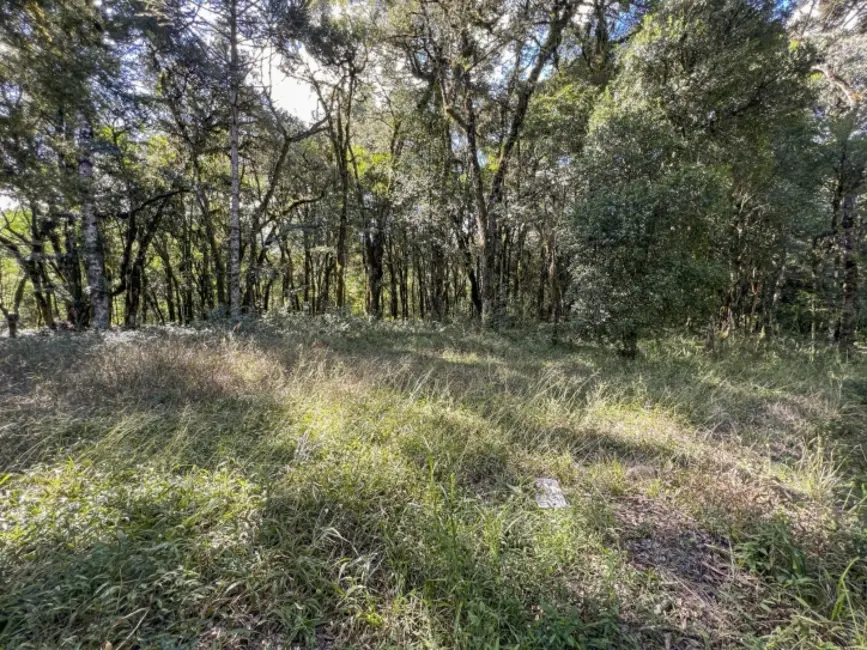 Foto 2 de Terreno / Lote à venda, 660m2 em Canela - RS