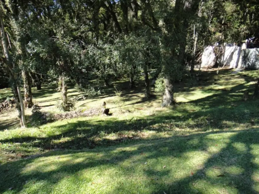 Terreno / Lote à venda, 545m2 em Canela - RS - imagem 3 Foto 3 de Terreno / Lote à venda, 545m2 em Canela - RS