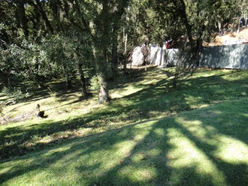 Terreno / Lote à venda, 545m2 em Canela - RS - imagem 5 Foto 5 de Terreno / Lote à venda, 545m2 em Canela - RS