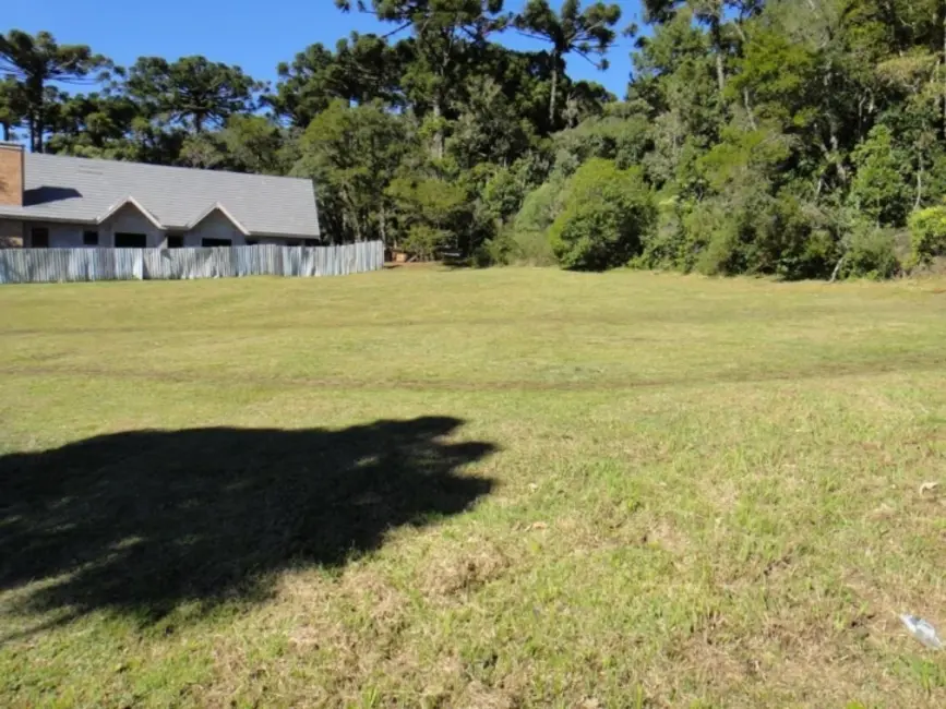Foto 5 de Terreno / Lote à venda, 1976m2 em Canela - RS
