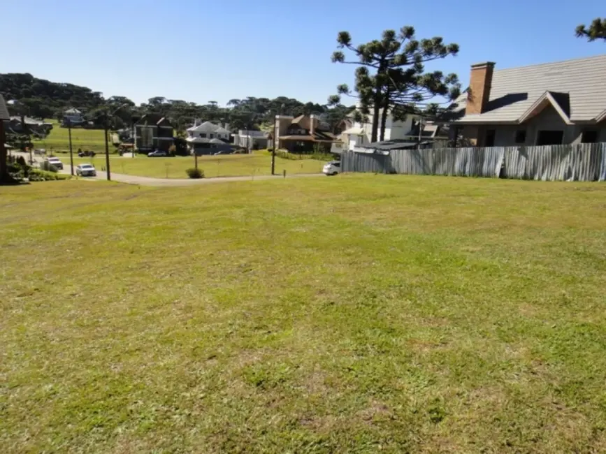 Foto 6 de Terreno / Lote à venda, 1976m2 em Canela - RS