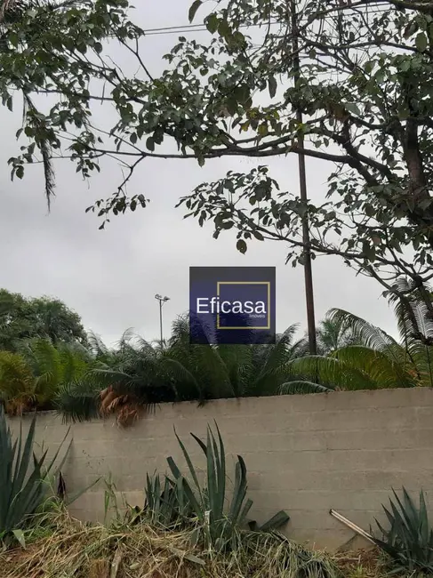 Foto 4 de Chácara com 3 quartos à venda, 5000m2 em Parque da Cidadania, Sao Jose Do Rio Preto - SP