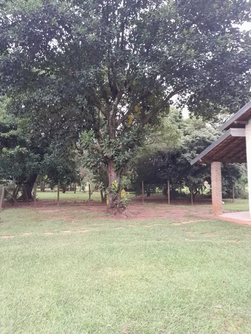 Foto 5 de Chácara com 3 quartos à venda, 6000m2 em Estância Jóckei Club, Sao Jose Do Rio Preto - SP