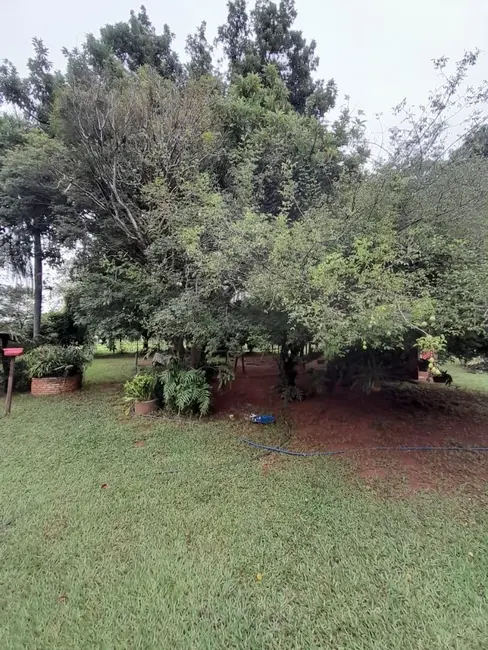 Foto 7 de Chácara com 3 quartos à venda, 6000m2 em Estância Jóckei Club, Sao Jose Do Rio Preto - SP