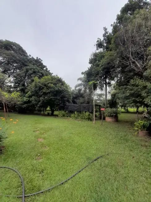 Foto 8 de Chácara com 3 quartos à venda, 6000m2 em Estância Jóckei Club, Sao Jose Do Rio Preto - SP