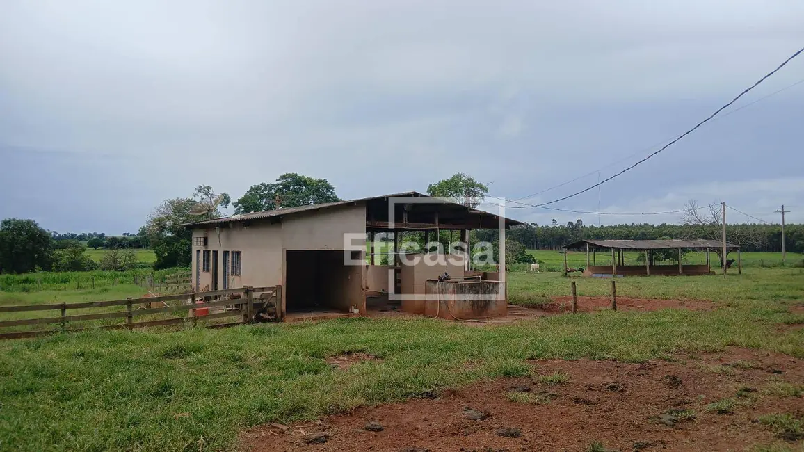 Foto 9 de Sítio / Rancho com 3 quartos à venda, 72600m2 em Sao Jose Do Rio Preto - SP