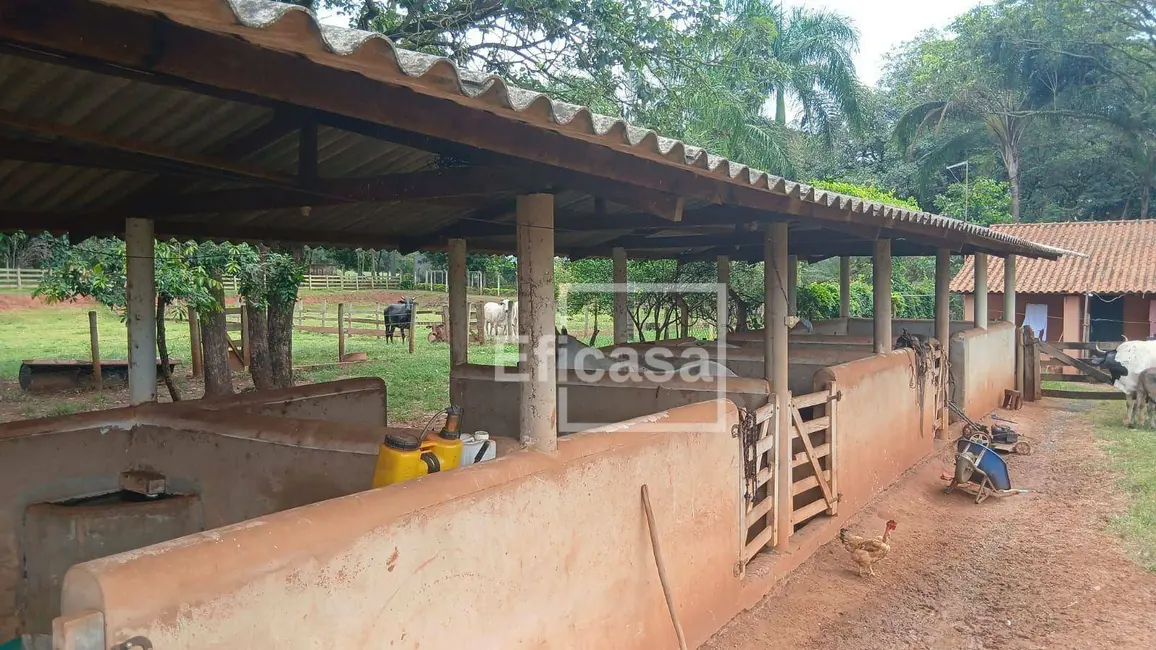 Foto 3 de Sítio / Rancho com 3 quartos à venda, 72600m2 em Sao Jose Do Rio Preto - SP