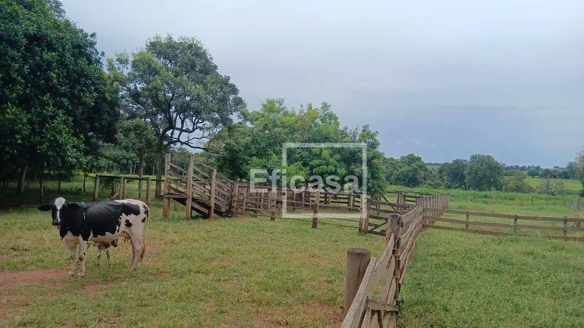 Foto 2 de Sítio / Rancho com 3 quartos à venda, 72600m2 em Sao Jose Do Rio Preto - SP
