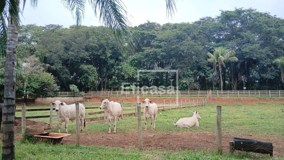 Foto 1 de Sítio / Rancho com 3 quartos à venda, 72600m2 em Sao Jose Do Rio Preto - SP