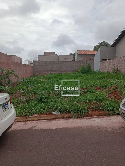 Foto 2 de Terreno / Lote à venda, 200m2 em Conjunto Habitacional CAIC, Sao Jose Do Rio Preto - SP