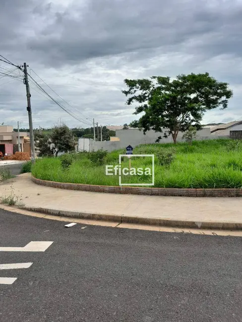 Foto 2 de Terreno / Lote à venda, 237m2 em Residencial Santa Regina, Sao Jose Do Rio Preto - SP