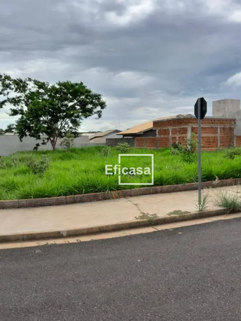 Terreno / Lote à venda, 237m2 em Residencial Santa Regina, Sao Jose Do Rio Preto - SP - imagem 3 Foto 3 de Terreno / Lote à venda, 237m2 em Residencial Santa Regina, Sao Jose Do Rio Preto - SP