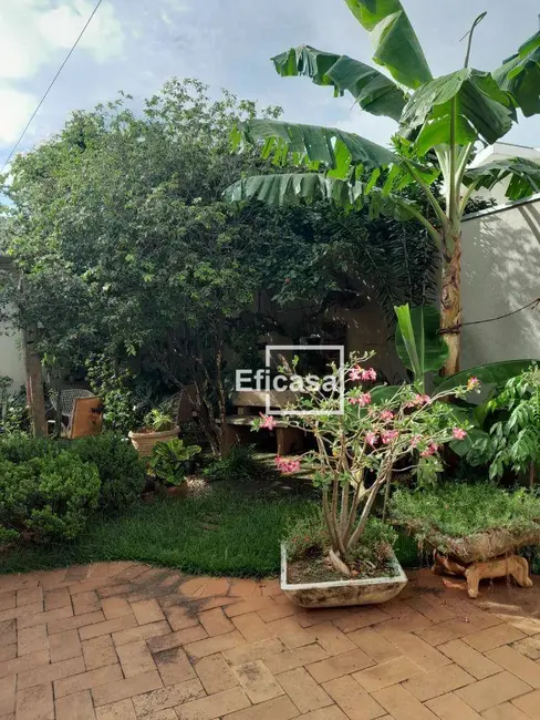 Foto 7 de Casa com 3 quartos à venda, 360m2 em Parque São Miguel, Sao Jose Do Rio Preto - SP